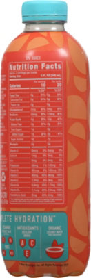 ROAR Organic Electrolyte Infusions Georgia Peach - 18 Fl. Oz. - Image 6