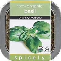 Spicely Organic Basil - 1.2 Oz - Image 2