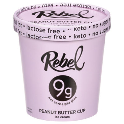 Rebel Ice Ice Cream Pbutter Fudge - 1 Pint - Image 1