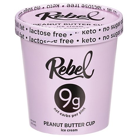 Rebel Ice Ice Cream Pbutter Fudge - 1 Pint