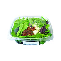 Spring Mix Salad Bulk - 1 Lb - Image 1