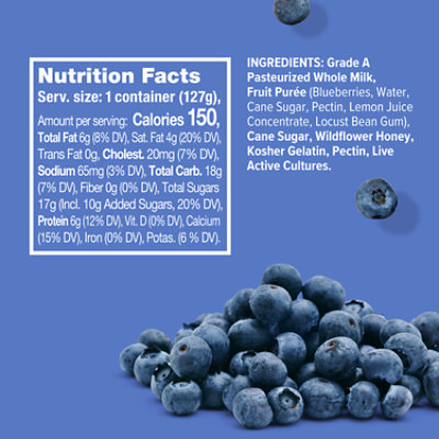 Noosa Finest Yoghurt Blueberry - 4 Oz - Image 3