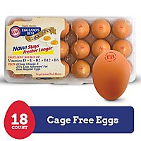 Egglands Best Eggs Cage Free Brown Large - 18 Count - Image 1