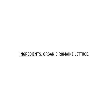 Earthbound Farm Organic Hearts of Romaine Bag - 10 Oz - Image 5
