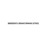 Earthbound Farm Organic Hearts of Romaine Bag - 10 Oz - Image 5