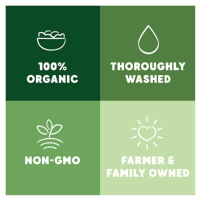 Earthbound Farm Organic Hearts of Romaine Bag - 10 Oz - Image 4