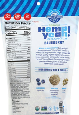 Manitoba Harvest Hemp Yeah! Granola Organic Blueberry - 10 Oz - Image 5