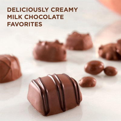 RUSSELL STOVER Assorted Milk Chocolate Gift Box 16 Count - 9.4 Oz - Image 2
