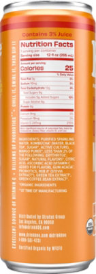 KOE Organic Kombucha Mango - 12 Fl. Oz. - Image 6