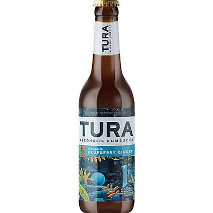 Tura Kombucha Blueberry Ginger In Bottles - 6-12 Fl. Oz. - Image 2