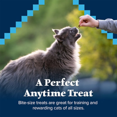 Blue Wilderness Crnchy Cat Treats Chk Sq - 12 Oz - Image 4