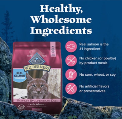 Blue Wilderness Adult Cat Salmon - 4 Lb - Image 6