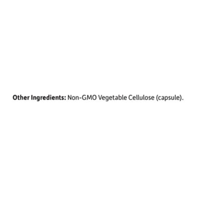 Dr Formulated Womens Daily Care 40 Billion CFU - 30 Count - Image 4