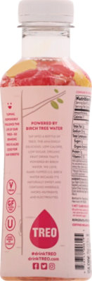 Treo Water Birch Rspbrry Lmnd - 16 Fl. Oz. - Image 6