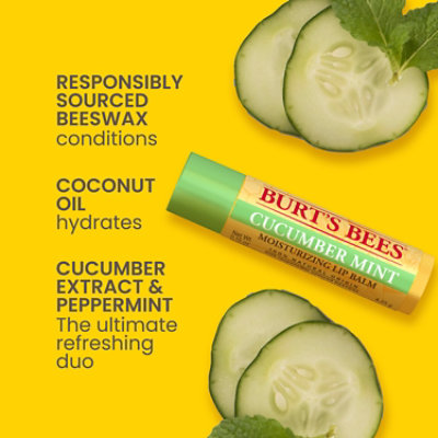 Burt's Bees Cucumber Mint With Beeswax 100% Natural Origin Moisturizing Lip Balm Tube - Each - Image 4