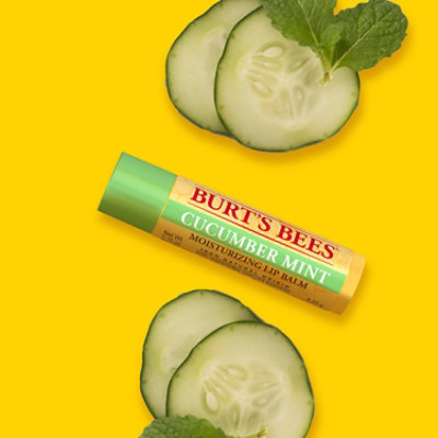 Burt's Bees Cucumber Mint With Beeswax 100% Natural Origin Moisturizing Lip Balm Tube - Each - Image 5