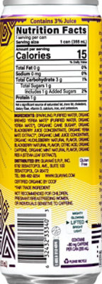 Sparkling Yerba Mate,blackberry Mint,org - 12 Fl. Oz. - Image 5