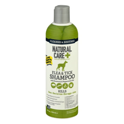 Natural flea hot sale shampoo