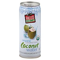 Guiltless Gourmet Coconut Water - 8.45 Fl. Oz. - Image 1