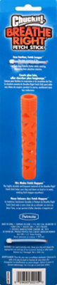 Chuckit! Breathe Right Fetch Stick Lg - 1 Each - Image 4