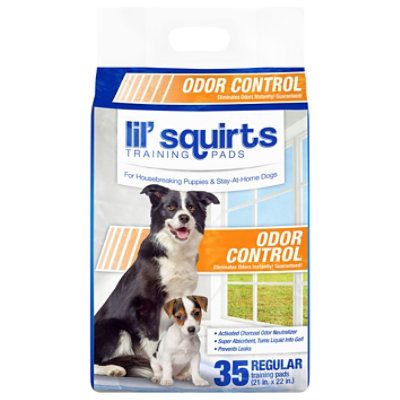 Lil Squirts Pads W/Charcoal Activate Ordor Control - 35 Count - Image 2