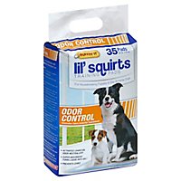 Lil Squirts Pads W/Charcoal Activate Ordor Control - 35 Count - Image 1