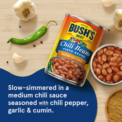 Bush's Pinto Beans in a Medium Chili Sauce - 16 Oz - Image 2