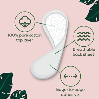 L. Chlorine Free Ultra Thin Liners Regular Absorbency - 100 count - Image 3