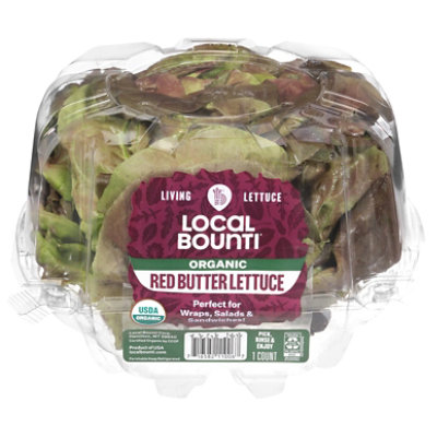 Lettuce Red Butter Org - Each - Image 2