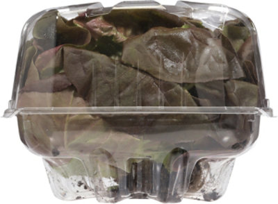 Lettuce Red Butter Org - Each - Image 3