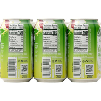 Hansens Soda Pop Ginger Ale In Can - 12 Fl. Oz. - Image 6