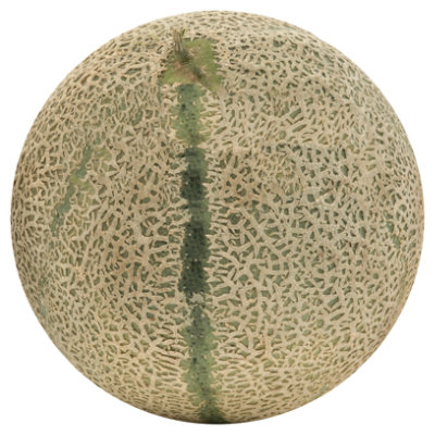 Charantais Melon - Image 1