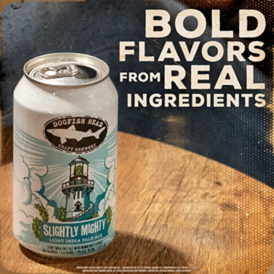 Dogfish Head Beer IPA Slightly Mighty Pack In Cans - 12-12 Fl. Oz. - Image 3