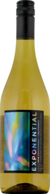 Exponential Chardonnay White Wine - 750 Ml - Image 2