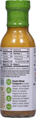 BRIANNAS Organic Dressing Vinaigrette Mango - 10 Oz - Image 6