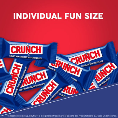 CRUNCH Milk Chocolate and Crisped Rice Fun Size Individually Wrapped Candy Bars - 10 Oz - Image 2