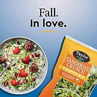 Taylor Farms Tangerine Crunch Chopped Salad Kit Bag - 13.35 Oz - Image 7