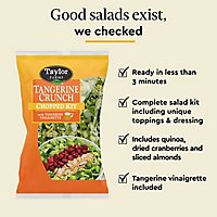 Taylor Farms Tangerine Crunch Chopped Salad Kit Bag - 13.35 Oz - Image 3