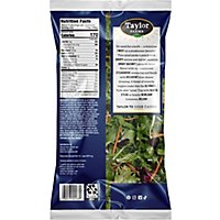 Taylor Farms Steakhouse Wedge Chopped Salad Kit Bag - 12.35 Oz - Image 5