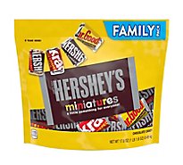 HERSHEYS Candy Chocolate Miniatures Family Pack - 17.6 Oz