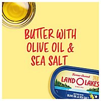 Land O Lakes Butter With Olive Oil And Sea Salt Tub - 21 Oz - Image 2