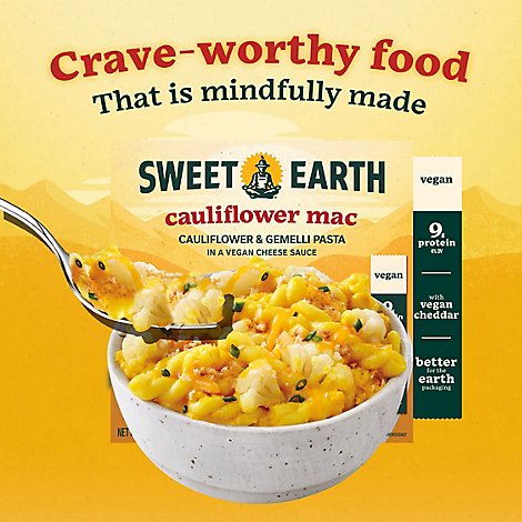 Sweet Earth Cauliflower Mac Bowl Frozen Dinner - 9 Oz