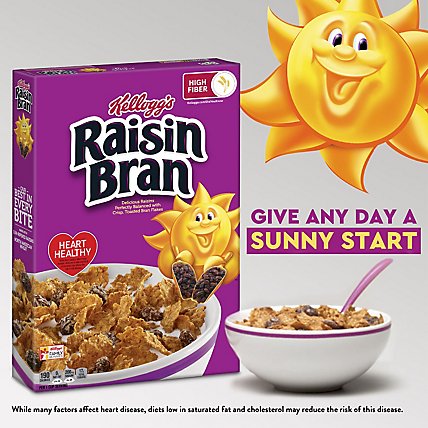 Raisin Bran High Fiber Original Breakfast Cereal - 24 Oz - Image 5