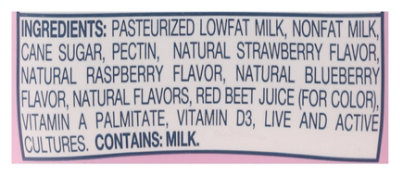 Lifeway Foods Low Fat Mixed Berry Kefir - 8 Oz - Image 5