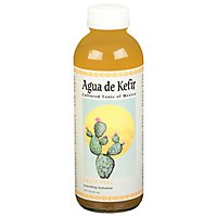 Gts Aqua Kefir Peach Pineapple - 16 Fl. Oz. - Image 1