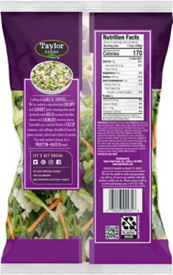 Taylor Farms Roasted Garlic Chopped Salad Kit Bag - 13.25 Oz - Image 7