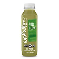 Evolution Fresh Organic Cold Pressed Celery and Lemon Juice Blend - 15.2 Fl. Oz. - Image 1