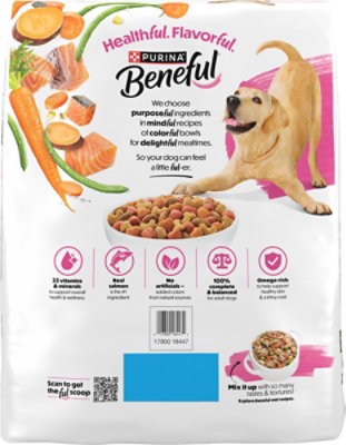 Purina Beneful Originals Salmon Dry Dog Food - 14 Lbs - Image 6