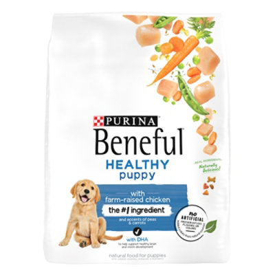 Purina Beneful Healthy Puppy Chicken Dry Dog Food - 14 Lbs - Image 1