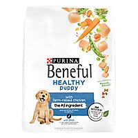 Purina Beneful Healthy Puppy Chicken Dry Dog Food - 14 Lb - Image 1